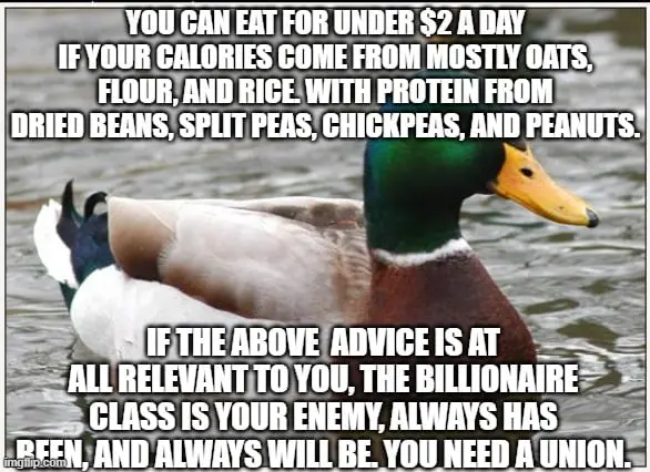 You can eat for under $2 a day if your calories come mostly from oats, flour and rice with protein from dried beans, split peas, chickpeas and peanuts. If the above is at all relevant to you, the billionaire class is your enemy, always has been, and always will be. You need a union.